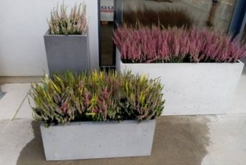 conrete flower box
