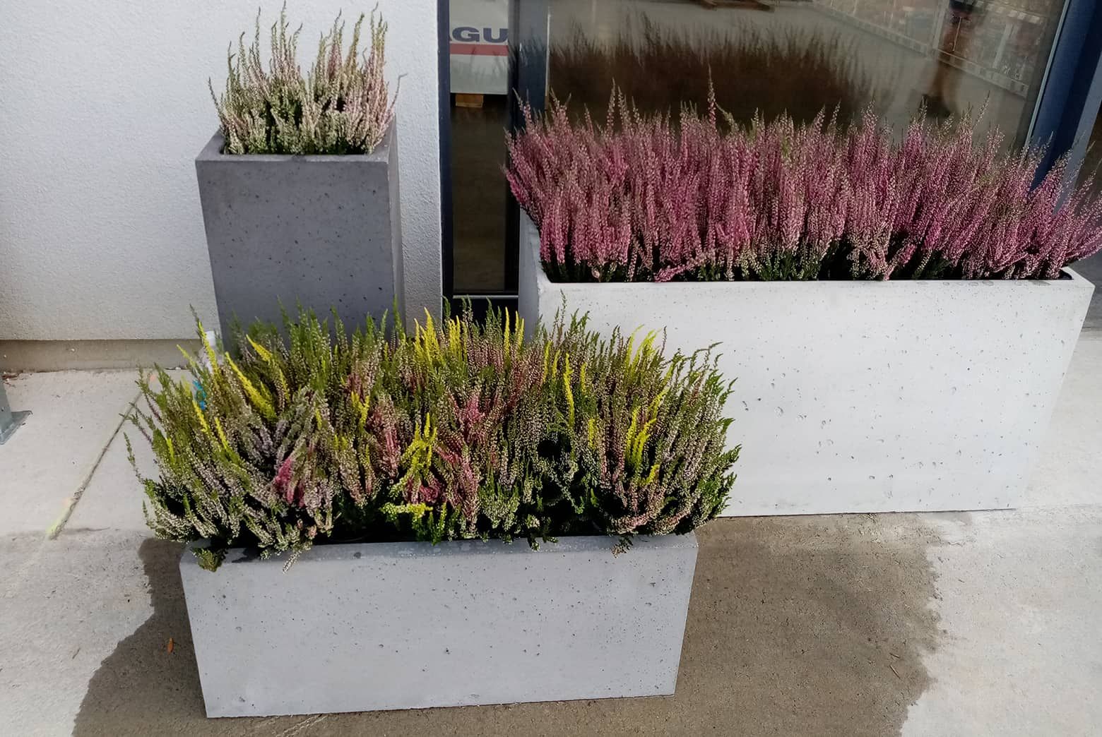 Jardinière en béton armé 70x70x30 cm - 110 L