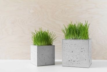 Fioriera in cemento BetonBox 100x70x50 cm