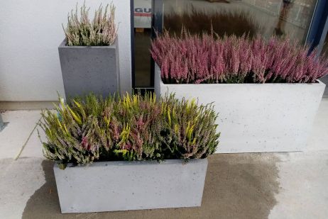 Beton plantenbak BetonBox 100x70x50 cm